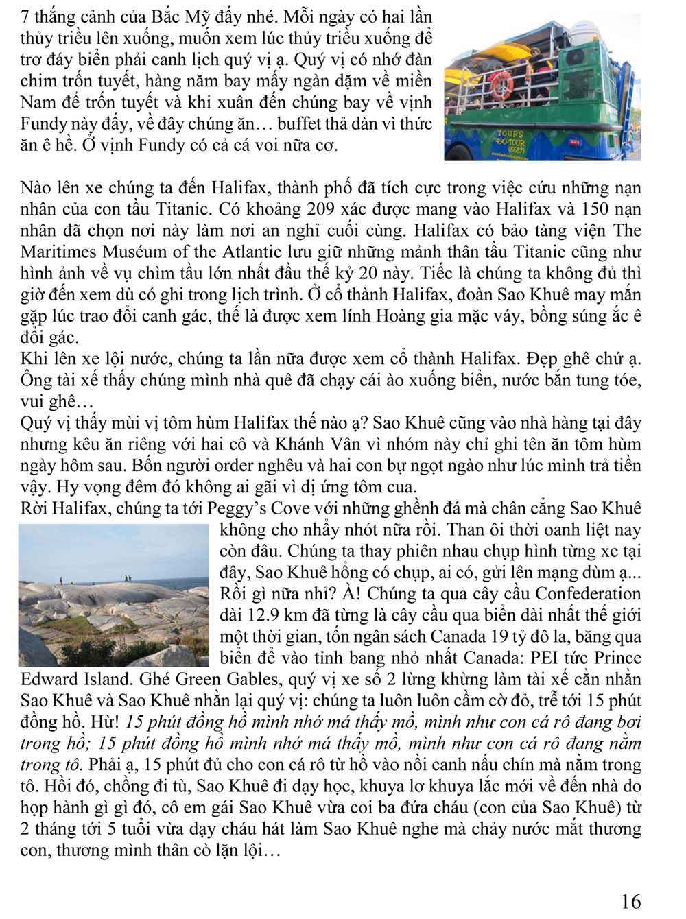 Cam tuong DLII 16